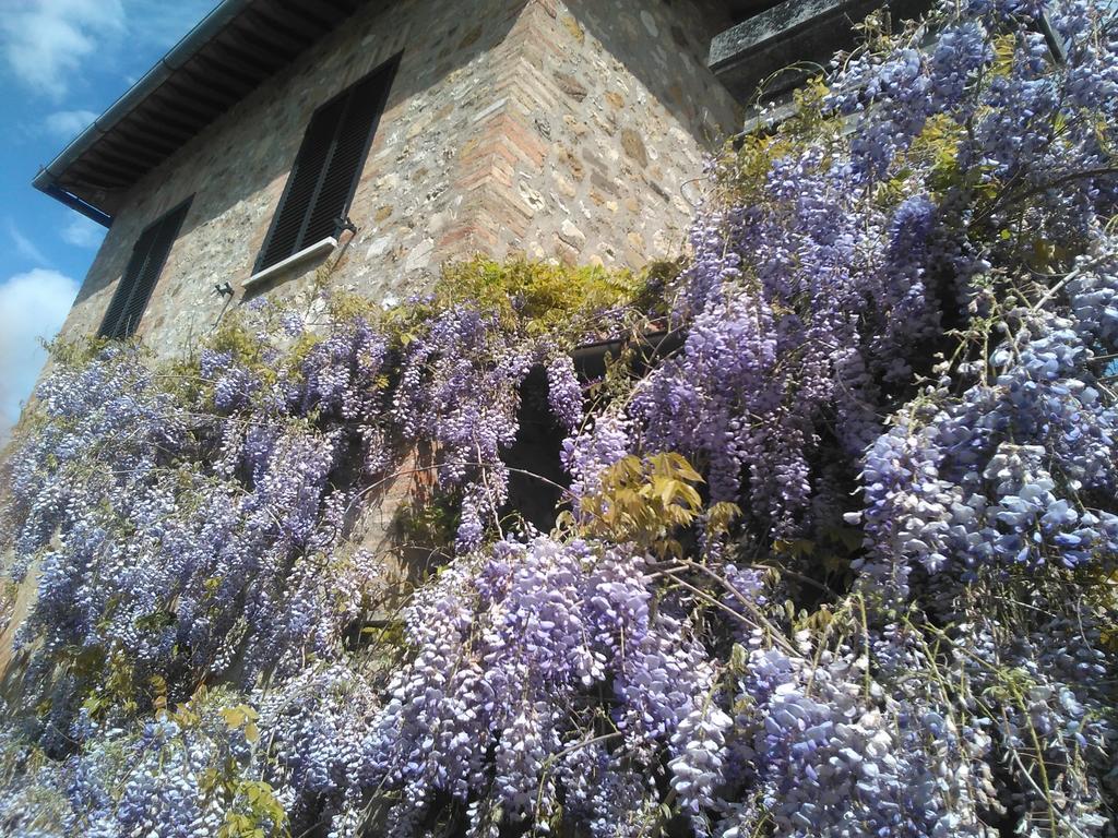 La Loggia - Villa Gloria -Adults Only Quercegrossa エクステリア 写真